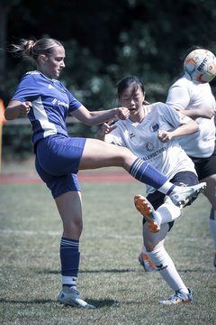 Bild 744 - wBJ VfL Pinneberg - Harksheide : Ergebnis: 2:1